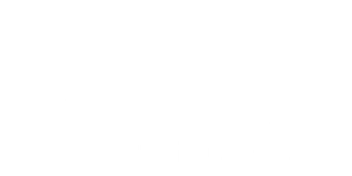 Big Love - A Tribute to Fleetwood Mac